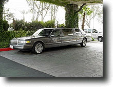 Limo.gif (29851 バイト)
