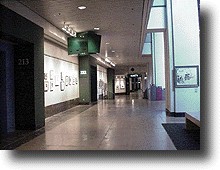 Room213.JPG (15363 バイト)