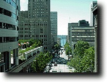 View.JPG (19790 バイト)