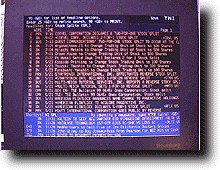 BloomB2.JPG (21523 バイト)