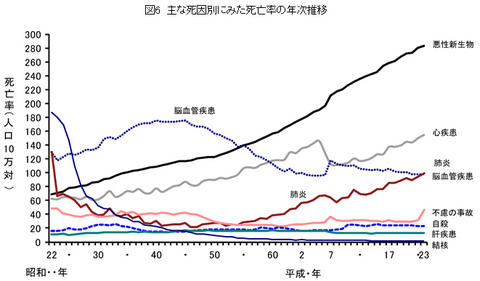 バイオ・マットとは？