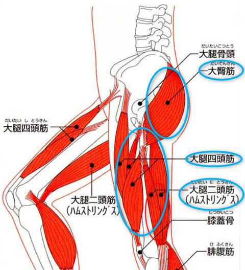 腰痛に効く使い方