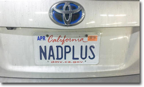 nadplus.jpg