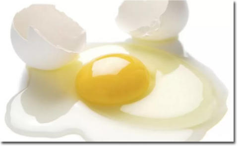 卵は完全食品