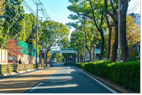 土曜雑感