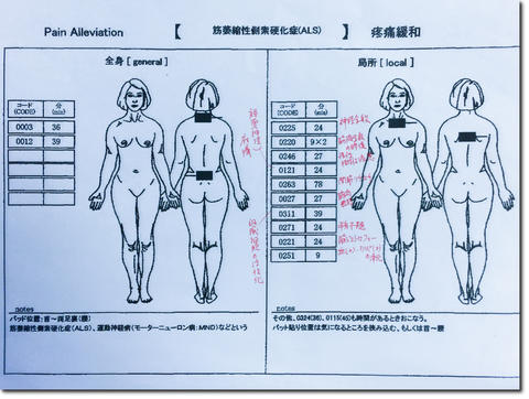 奥様は特攻隊長