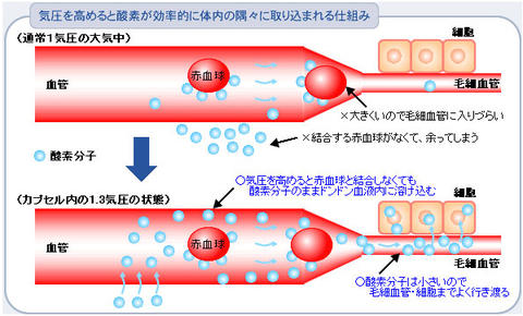 酸素カプセルは何故効くのか？