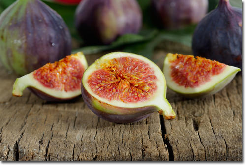 figs.jpg