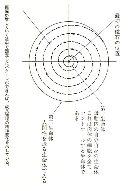 fuchipettern02.jpg