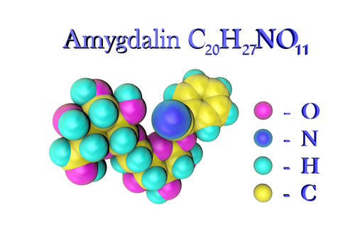 amygdalin.jpg