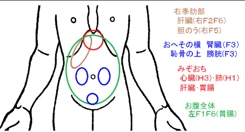 kidney4.jpg