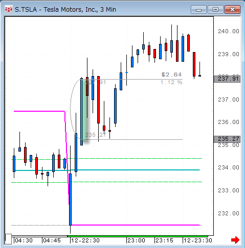 TSLA0312.gif