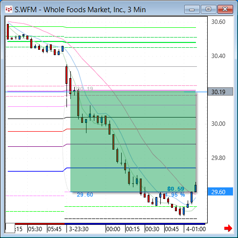 WFM33.gif