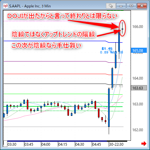 aapl03.gif