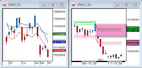 1001JNKC2.gif