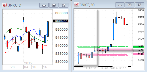 0118JNKC.gif