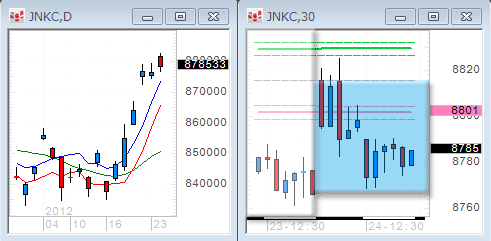 0124JNKC.gif