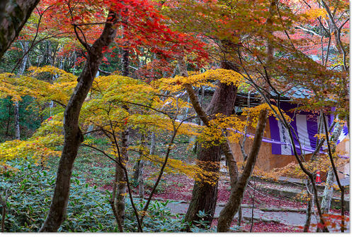 1108zuihouji17.jpg