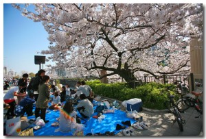 hanami09-100404.jpg