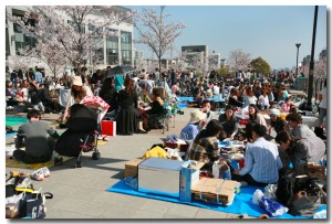 hanami10-100404.jpg