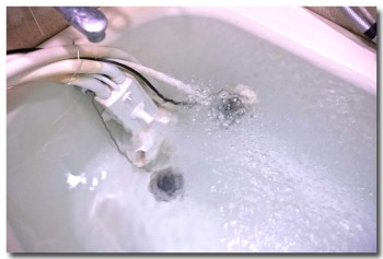 20120503microbubblebath02.jpg