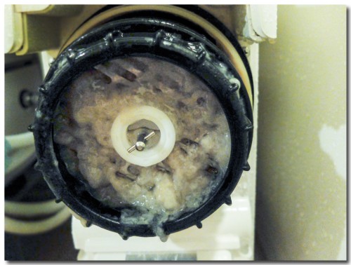 0809germanium04.jpg