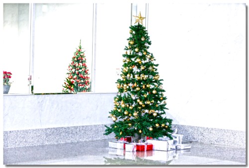 1215Cgristmastree.jpg