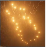 0812firework.jpg